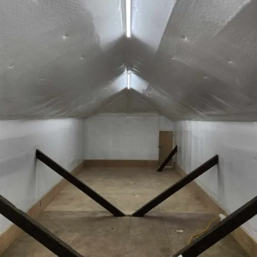 Attic Roof Storage